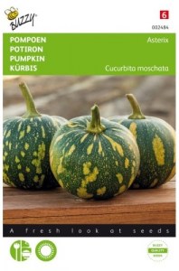 002484 tekvica asterix1